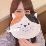 ヒメ日記 2025/07/08 12:16 投稿 さくら 紳士の嗜み 大宮