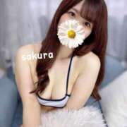 ヒメ日記 2025/07/09 12:17 投稿 さくら 紳士の嗜み 大宮