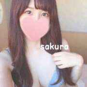 ヒメ日記 2025/09/05 15:15 投稿 さくら 紳士の嗜み 大宮