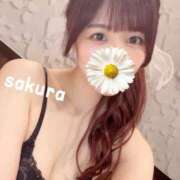 ヒメ日記 2025/10/12 18:01 投稿 さくら 紳士の嗜み 大宮