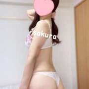 ヒメ日記 2025/10/21 12:16 投稿 さくら 紳士の嗜み 大宮