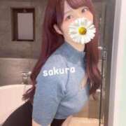 ヒメ日記 2025/11/02 09:39 投稿 さくら 紳士の嗜み 大宮