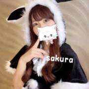 ヒメ日記 2025/11/14 12:16 投稿 さくら 紳士の嗜み 大宮