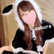 ヒメ日記 2025/11/21 08:15 投稿 さくら 紳士の嗜み 大宮