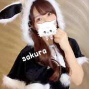 ヒメ日記 2025/12/13 12:17 投稿 さくら 紳士の嗜み 大宮