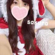 ヒメ日記 2025/12/19 12:16 投稿 さくら 紳士の嗜み 大宮