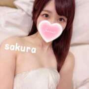 ヒメ日記 2026/02/19 12:16 投稿 さくら 紳士の嗜み 大宮