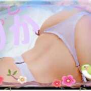 ヒメ日記 2025/03/12 04:13 投稿 りか 妻天 十三店