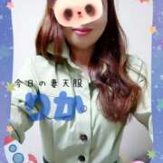 ヒメ日記 2025/04/24 07:13 投稿 りか 妻天 十三店