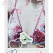 ヒメ日記 2025/04/29 07:23 投稿 りか 妻天 十三店