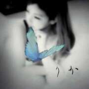 ヒメ日記 2025/06/29 17:33 投稿 りか 妻天 十三店