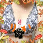 ヒメ日記 2026/02/25 15:57 投稿 りか 妻天 十三店