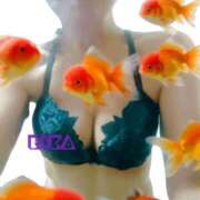 ヒメ日記 2026/03/20 13:04 投稿 りか 妻天 十三店