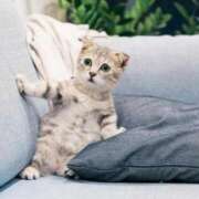 ヒメ日記 2025/02/23 11:30 投稿 あけみ 成田人妻花壇