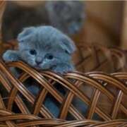 ヒメ日記 2025/02/24 13:01 投稿 あけみ 成田人妻花壇