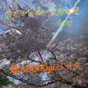 ヒメ日記 2025/04/20 09:58 投稿 あけみ 成田人妻花壇