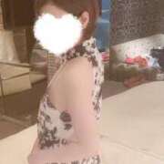 ヒメ日記 2025/05/07 11:18 投稿 戸井田きみか 月の真珠-新宿-