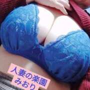 ヒメ日記 2024/12/18 20:18 投稿 みおり 人妻の楽園（博多）