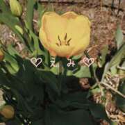 ヒメ日記 2025/05/01 14:01 投稿 えみ 脱がされたい人妻 木更津店