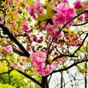 ヒメ日記 2025/04/15 18:26 投稿 ゆづ タレント倶楽部アダルト