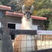 ヒメ日記 2024/12/20 10:22 投稿 ひとみ 熟女の風俗最終章 新宿店