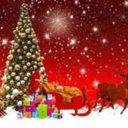 ヒメ日記 2024/12/24 09:29 投稿 ひとみ 熟女の風俗最終章 新宿店