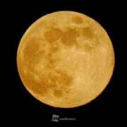 ヒメ日記 2025/01/14 20:44 投稿 ひとみ 熟女の風俗最終章 池袋店