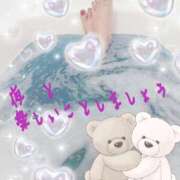 夜(よる) 夜 女々艶 厚木店