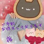 夜(よる) 夜 女々艶 厚木店