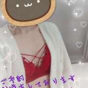 夜(よる) 夜 女々艶 厚木店