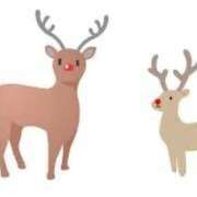 ヒメ日記 2024/12/13 10:43 投稿 るな ハンドキャンパス新宿