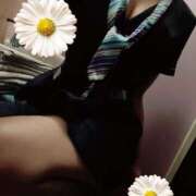 ヒメ日記 2025/09/11 19:20 投稿 るな ハンドキャンパス新宿