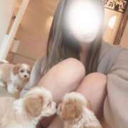 ヒメ日記 2025/12/12 09:12 投稿 美羽　遥 ☆最高の敏感体質！ ～地元厳選美女がお出迎え～私の部屋にキテネ！トレビの泉