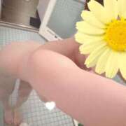 ヒメ日記 2026/04/02 12:44 投稿 美羽　遥 ☆最高の敏感体質！ ～地元厳選美女がお出迎え～私の部屋にキテネ！トレビの泉