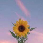 ヒメ日記 2026/04/08 09:15 投稿 美羽　遥 ☆最高の敏感体質！ ～地元厳選美女がお出迎え～私の部屋にキテネ！トレビの泉