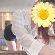 ヒメ日記 2026/04/12 17:59 投稿 美羽　遥 ☆最高の敏感体質！ ～地元厳選美女がお出迎え～私の部屋にキテネ！トレビの泉