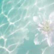 ヒメ日記 2026/04/25 08:26 投稿 美羽　遥 ☆最高の敏感体質！ ～地元厳選美女がお出迎え～私の部屋にキテネ！トレビの泉