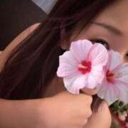 ヒメ日記 2026/09/01 17:16 投稿 美羽　遥 ☆最高の敏感体質！ ～地元厳選美女がお出迎え～私の部屋にキテネ！トレビの泉