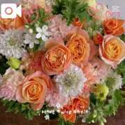 ヒメ日記 2025/01/04 22:33 投稿 りお 五反田・品川おかあさん