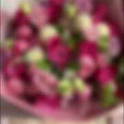 ヒメ日記 2025/01/12 23:53 投稿 りお 五反田・品川おかあさん