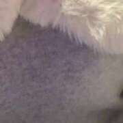 ヒメ日記 2025/02/16 10:33 投稿 りお 五反田・品川おかあさん