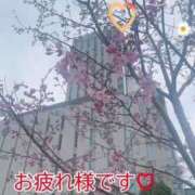 ヒメ日記 2025/03/28 10:43 投稿 りお 五反田・品川おかあさん