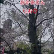 ヒメ日記 2025/03/31 08:43 投稿 りお 五反田・品川おかあさん