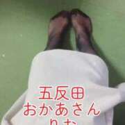 ヒメ日記 2026/02/06 10:06 投稿 りお 五反田・品川おかあさん