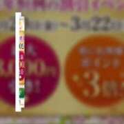 ヒメ日記 2026/03/11 00:03 投稿 りお 五反田・品川おかあさん