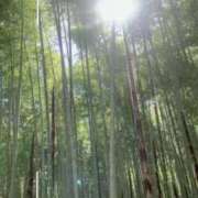 ヒメ日記 2026/05/08 09:43 投稿 りお 五反田・品川おかあさん