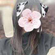 ヒメ日記 2025/04/02 13:34 投稿 うい 奥様鉄道69 岡山店