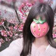 ヒメ日記 2025/04/07 13:19 投稿 うい 奥様鉄道69 岡山店