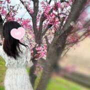 ヒメ日記 2025/05/03 10:03 投稿 うい 奥様鉄道69 岡山店