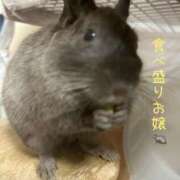 ヒメ日記 2025/02/20 13:12 投稿 めい マドンナ浜松町